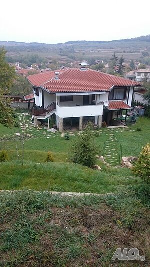 image_8