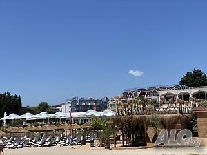 image_19