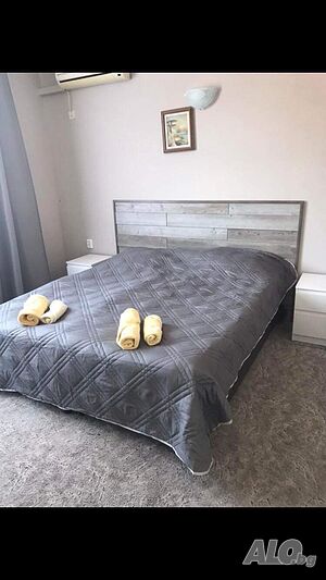 image_11