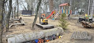 image_21