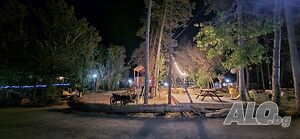 image_27