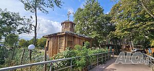image_29