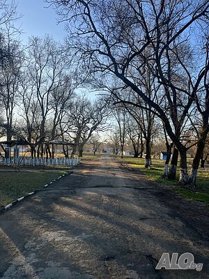 image_16