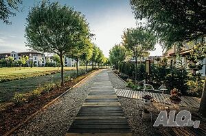 image_16