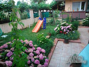 image_12