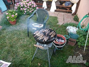 image_13