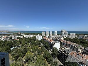 image_11