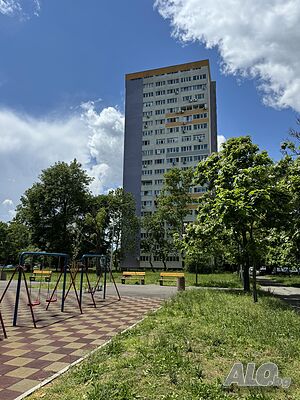 image_11