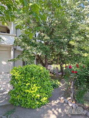 image_21