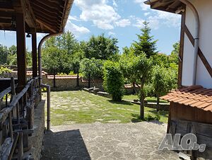 image_6