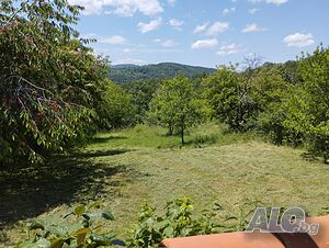 image_9
