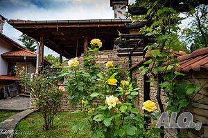 image_31