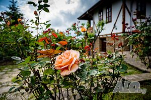 image_32