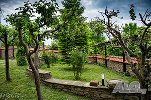 image_33