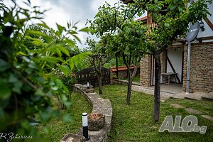 image_35