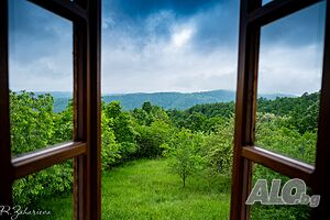 image_42