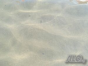 image_16