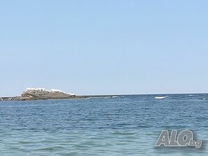 image_18