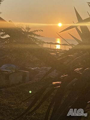 Стая под наем Лазур до флоратa 🏝️