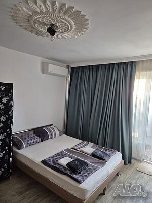 Стая под наем Лазур до флоратa 🏝️