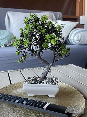 image_46