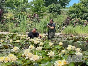 image_39