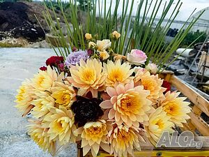 image_40