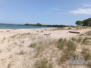 image_20