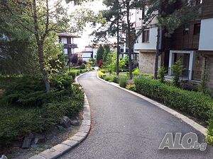 image_18