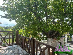 image_16