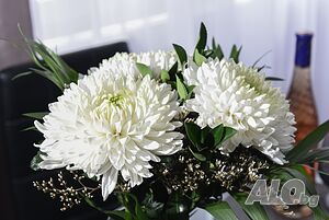 image_4
