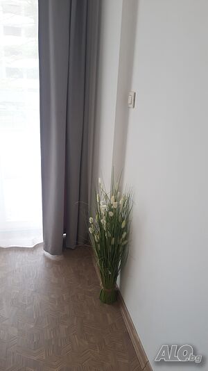 image_12