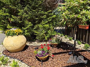 image_21