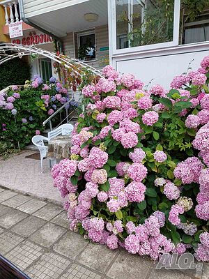 image_12
