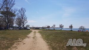 image_25