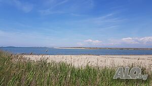 image_26