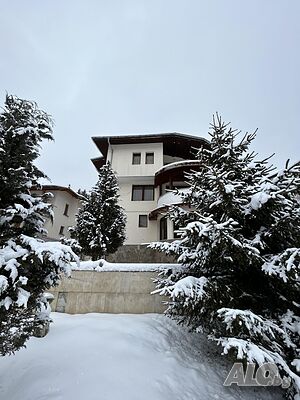 image_15