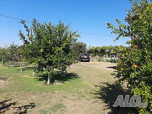 image_13