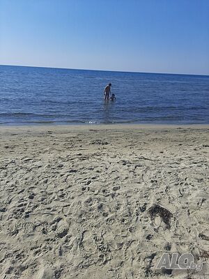 image_14