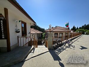 image_19