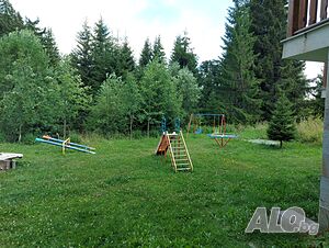 image_31
