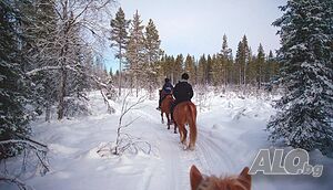 image_32