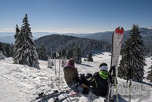 image_33