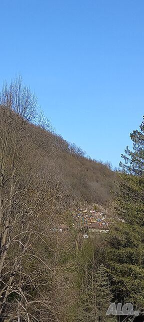 image_10