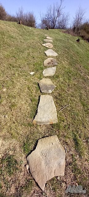 image_11