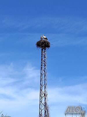 image_15