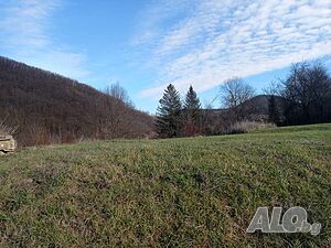 image_20
