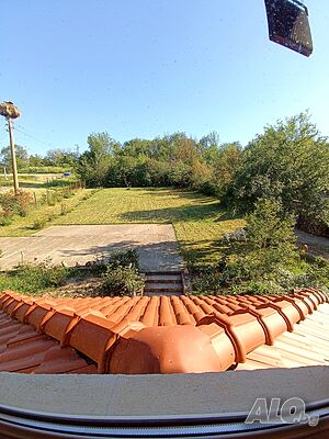image_9
