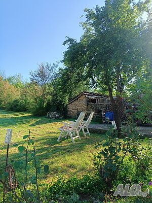 image_11