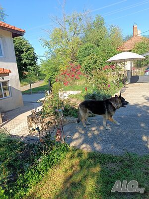 image_13